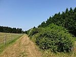 2019-07-30 12.26.23R