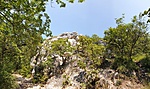 2019-07-30 13.38.58R