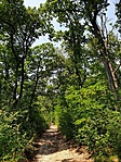 2019-07-30 13.28.27R