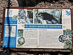 2019-07-30 13.39.26R