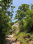 2019-07-30 13.38.12R