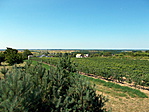 DSCN2020-001