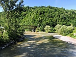 IMG_6290