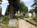 Segesvár (Erdély)-20