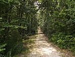 Kis-bükki Fekete István-kilátó-2