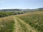 Parajdi Sósziklák (Erdély)-1