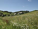 Parajdi Sósziklák (Erdély)-2