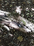 20190630_120314