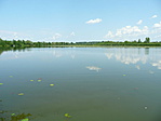Tisza-tó