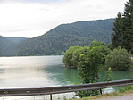 IMG_0170