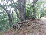 20190716_155348