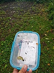 IMG_20190707_183206
