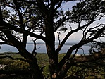 IMG_20190718_171725