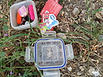 IMG_20190714_134244