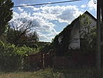 IMG_1202