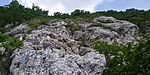 20190629_134356_HDR