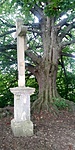 20190713_163947