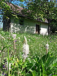 20190706_101040