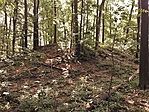 20190706_102254