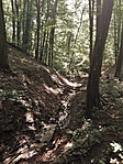 20190706_105645