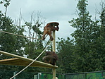 DSCN0127