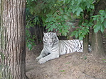 DSCN0149