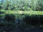 DSC07698