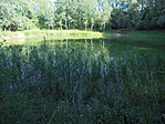 DSC07701