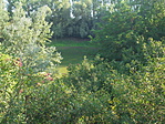 DSC07709