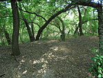 DSC07814