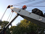 IMG_20190609_191946