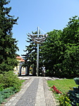 DSC03306