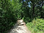 IMG_20190613_112035