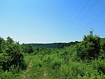 IMG_20190613_113048
