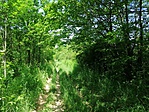 IMG_20190613_112548