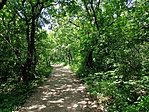 IMG_20190613_112150