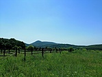 IMG_20190613_111842
