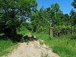 IMG_20190613_112506