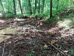 IMG_20190613_121422
