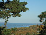 2010.