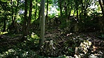 IMG_20190629_102455[1]