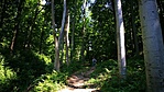 IMG_20190629_102346[1]