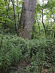 IMG_20190711_115934