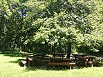 IMG_20190628_135550
