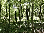 IMG_20190628_140036