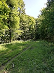 IMG_20190628_153821