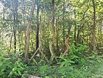 IMG_20190628_153617