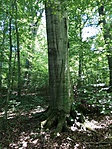 IMG_20190629_124352