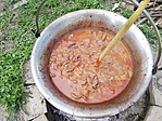 IMG_20190629_165229