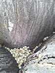 20190624_184516